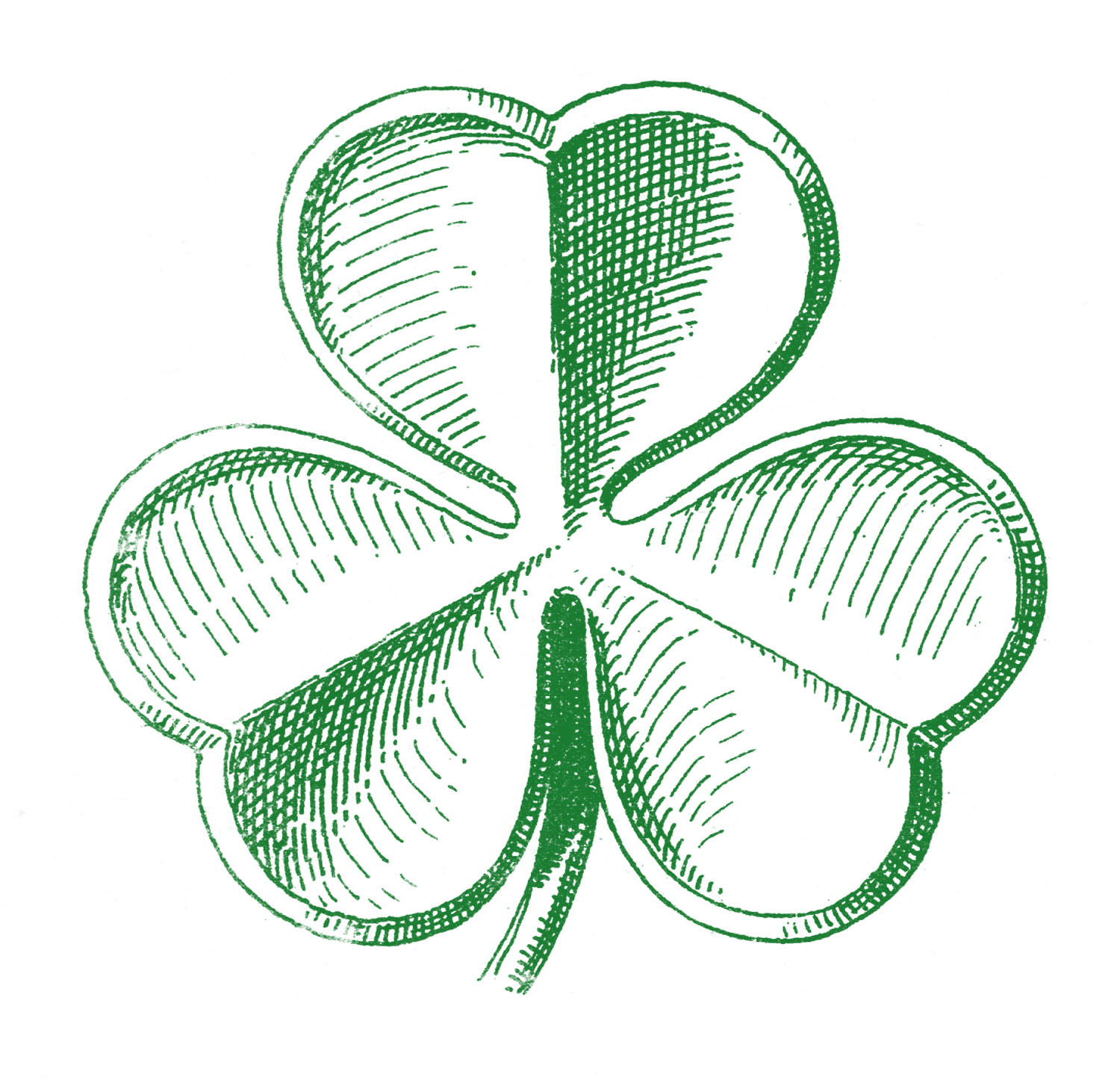Best Shamrock Clip Art! - The Graphics Fairy